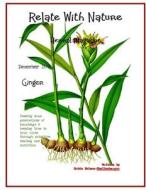 Relate with Nature Herbal Magazine: Ginger di Robin Nelson-Shellenbarger edito da Createspace