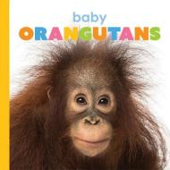 Baby Orangutans di Kate Riggs edito da CREATIVE ED & PAPERBACKS