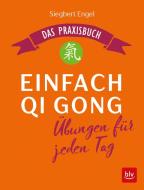 Einfach Qi Gong di Siegbert Engel edito da BLV Buchverlag GmbH & Co.