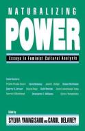 Naturalizing Power di Sylvia Yanagisako edito da Routledge