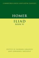 Iliad, Book 6 di Homer edito da Cambridge University Press