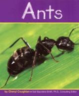 Ants di Cheryl Coughlan edito da Capstone Press