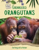 Endangered Orangutans di Jane Katirgis edito da Enslow Publishing