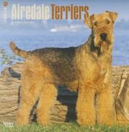 Airedale Terriers Calendar edito da Browntrout Publishers