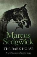 The Dark Horse di Marcus Sedgwick edito da Hachette Children's Group