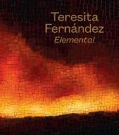Teresita Fernandez: Elemental di Amada Cruz, Franklin Sirmans edito da Prestel