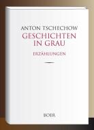 Geschichten in Grau di Anton Tschechow edito da Boer