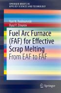Fuel Arc Furnace (FAF) for Effective Scrap Melting di Yuri N. Toulouevski edito da Springer
