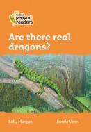 Level 4 - Are There Real Dragons? di Sally Morgan edito da HarperCollins Publishers