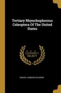 Tertiary Rhynchophorous Coleoptera Of The United States di Samuel Hubbard Scudder edito da WENTWORTH PR