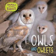 Animals and their Babies: Owls & Owlets di Annabelle Lynch edito da Hachette Children's Group