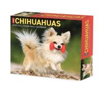 Chihuahuas 2023 Box Calendar di Willow Creek Press edito da Willow Creek Press