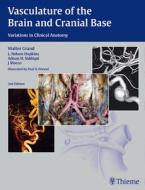 Vasculature of the Brain and Cranial Base di Walter Grand, L. N. Hopkins, Adnan Siddiqui edito da Thieme Georg Verlag