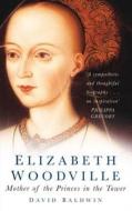 Elizabeth Woodville di David Baldwin edito da The History Press Ltd