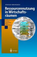 Ressourcennutzung in Wirtschaftsräumen di Stefan Bringezu edito da Springer Berlin Heidelberg
