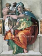 Michelangelo di William E. Wallace edito da Universe Publishing