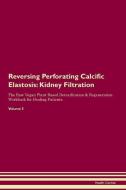 Reversing Perforating Calcific Elastosis: Kidney Filtration The Raw Vegan Plant-Based Detoxification & Regeneration Work di Health Central edito da LIGHTNING SOURCE INC