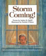 Storm Coming! di Audrey B. Baird edito da Wordsong
