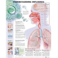 Understanding Influenza edito da Anatomical Chart Co.