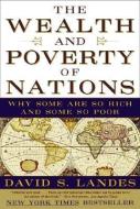 The Wealth and Poverty of Nations: Why Some Are So Rich and Some So Poor di David S. Landes edito da W W NORTON & CO