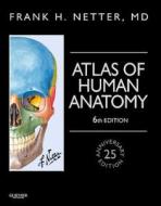 Atlas Of Human Anatomy, Professional Edition di Frank H. Netter edito da Elsevier Health Sciences