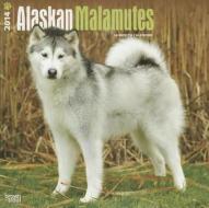 Alaskan Malamutes Calendar edito da Browntrout Publishers