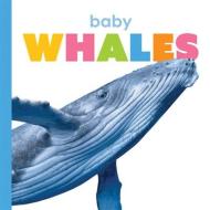 Baby Whales di Kate Riggs edito da CREATIVE ED & PAPERBACKS