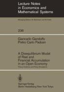 A Disequilibrium Model of Real and Financial Accumulation in an Open Economy di Giancarlo Gandolfo, Pietro C. Padoan edito da Springer Berlin Heidelberg