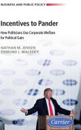 Incentives to Pander di Nathan M. Jensen, Edmund Malesky edito da Cambridge University Press