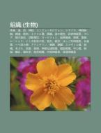 Zu Zhi Sheng W : Ti Y , Chi, M , Sh N di S. Su Wikipedia edito da Books LLC, Wiki Series