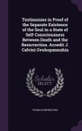 Testimonies In Proof Of The Separate Existence Of The Soul In A State Of Self-consciousness Between Death And The Resurrection. Accedit J. Calvini Gvu di Thomas Huntingford edito da Palala Press