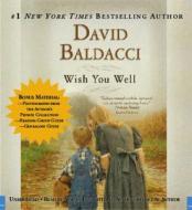 Wish You Well di David Baldacci edito da Hachette Audio