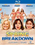 Spring Breakdown edito da Warner Home Video