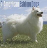 American Eskimo Dogs Calendar edito da Browntrout Publishers