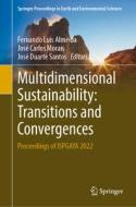 Multidimensional Sustainability: Transitions and Convergences edito da Springer Nature Switzerland
