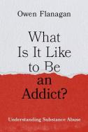 What Is It Like To Be An Addict? di Owen Flanagan edito da Oxford University Press Inc