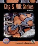 King & Milk Snakes di Adam Black edito da TFH Publications