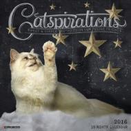 Catspirations Calendar edito da Willow Creek Press