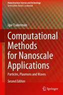 Computational Methods for Nanoscale Applications di Igor Tsukerman edito da Springer International Publishing