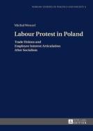 Labour Protest in Poland di Michal Wenzel edito da Lang, Peter GmbH