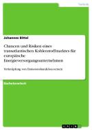 Chancen und Risiken eines transatlantischen Kohlenstoffmarktes für europäische Energieversorgungsunternehmen di Johannes Bittel edito da GRIN Verlag