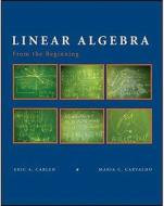 Prelim Algebra Calc Curr di Carlen Loss, Eric Carlen edito da Palgrave