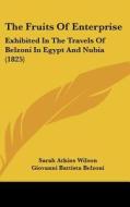 The Fruits of Enterprise: Exhibited in the Travels of Belzoni in Egypt and Nubia (1825) di Sarah Atkins Wilson, Giovanni Battista Belzoni edito da Kessinger Publishing