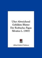 Uber Abweichend Gebildete Blatter Der Rotbuche: Fagus Silvatica L. (1907) di Alfred Gabriel Nathorst edito da Kessinger Publishing