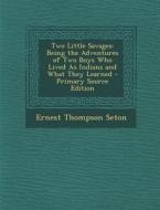Two Little Savages: Being the Adventures of Two Boys Who Lived as Indians and What They Learned di Ernest Thompson Seton edito da Nabu Press