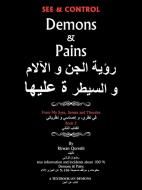 See & Control Demons & Pains: From My Eyes, Senses and Theories 2 di Rizwan Qureshi edito da AUTHORHOUSE