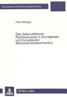 Das Gebot effektiven Rechtsschutzes in Grundgesetz und Europäischer Menschenrechtskonvention di Peter Wilfinger edito da Lang, Peter GmbH