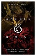 Angels & Demons di John R Gilhooly edito da B&H Publishing Group