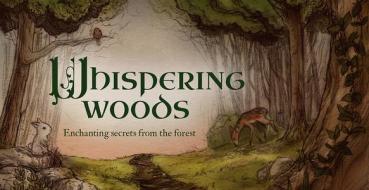 Whispering Woods Inspiration Cards: Enchanting Secrets from the Forest di Jessica Le edito da U S GAMES SYSTEMS INC