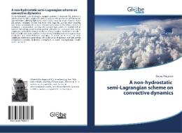 A non-hydrostatic semi-Lagrangian scheme on convective dynamics di Danny Høgsholt edito da GlobeEdit